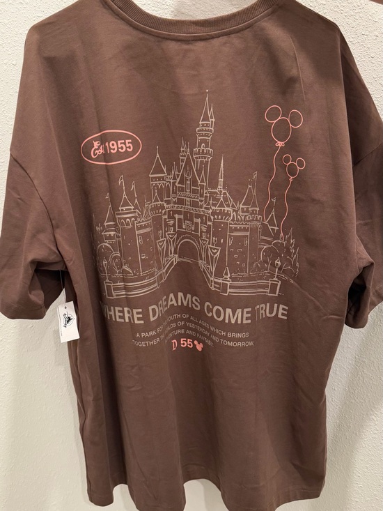 Disney Tops - Disneyland Oversized where dreams come true graphic t-shirt NWT XL new to park